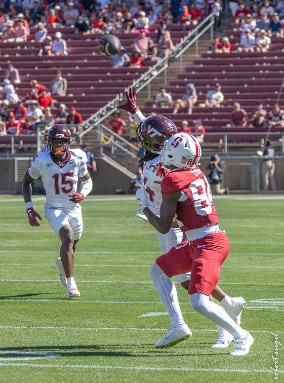 stanford football 2024